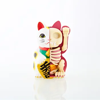 4D Master Anatomy Fortune Cat Skeleton Dissection Saving Box Street Art Accessories Collection Gift M35
4D Master Anatomy Fortune Cat Skeleton Dissection Saving Box Street Art Accessories Collection Gift M35