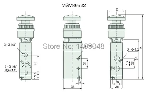 MSV86522 OD.jpg