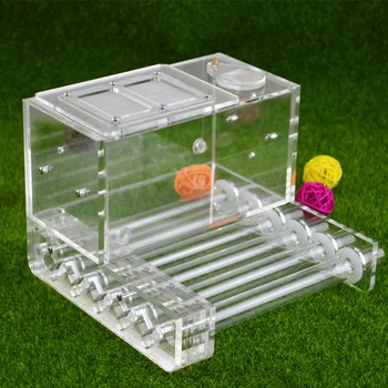 6pcs 18MM Glass Tube Ant Nest Ant Cages For Kids Home Ants Pet Use Student Scientific Device Toy Gifts Ant Villa Farm Workshop
6pcs 18MM Glass Tube Ant Nest Ant Cages For Kids Home Ants Pet Use Student Scientific Device Toy Gifts Ant Villa Farm Workshop