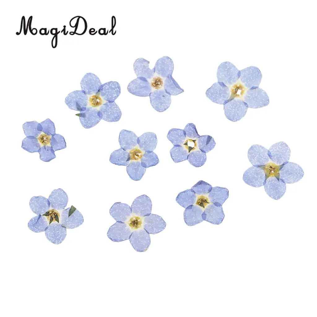 22pcs Mini Natural Dried Flowers Verbena Forget-me-not Embellishment for DIY Pendants Charms Nail Art Decoration