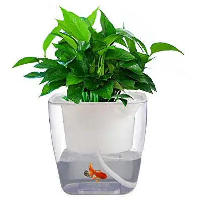 AutoMatic WateRing FloWer POt BonSai FloWerpot garden hydrOPOnic SelF WaTering POT FOR SuCculent HOME BalKon DeCor aCCessorY
AutoMatic WateRing FloWer POt BonSai FloWerpot garden hydrOPOnic SelF WaTering POT FOR SuCculent HOME BalKon DeCor aCCessorY