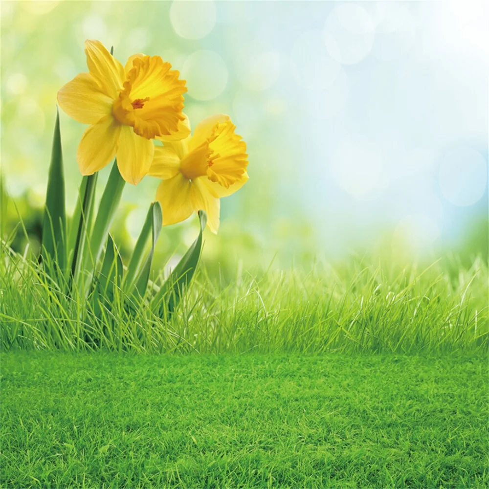 Laeacco Spring Green Grass Flower Light Bokeh Baby Newborn Photo Backgrounds Customized Photographic Backdrops For Photo Studio
Laeacco Spring Green Grass Flower Light Bokeh Baby Newborn Photo Backgrounds Customized Photographic Backdrops For Photo Studio