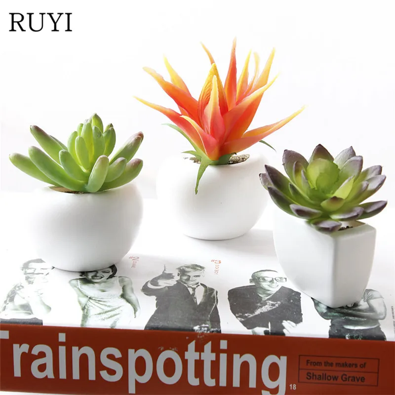 Simulation flower succulent refrigerator bonsai new magnet small bonsai green plant living room garden decoration fake flower
Simulation flower succulent refrigerator bonsai new magnet small bonsai green plant living room garden decoration fake flower