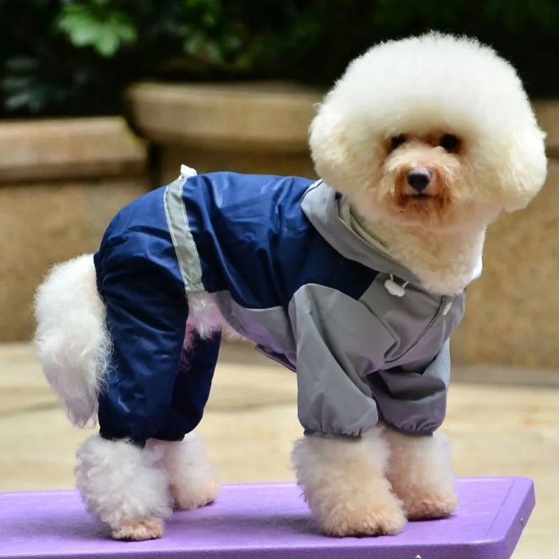 Winter Autumn Dog Clothes Raincoat Waterproof Overalls Goods for Pets Poncho Rain Umbrella Coats for Chihuahua Jackets
Winter Autumn Dog Clothes Raincoat Waterproof Overalls Goods for Pets Poncho Rain Umbrella Coats for Chihuahua Jackets