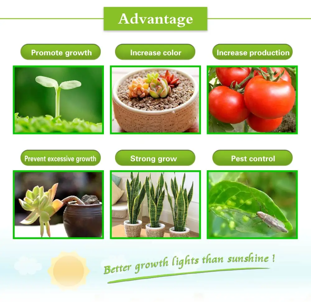 Dimmer 300W led grow light Double chips hydroponics lighting Full spectrum Herbs Flowers Medicine Veg Bloom Growth Greenhouse (3)