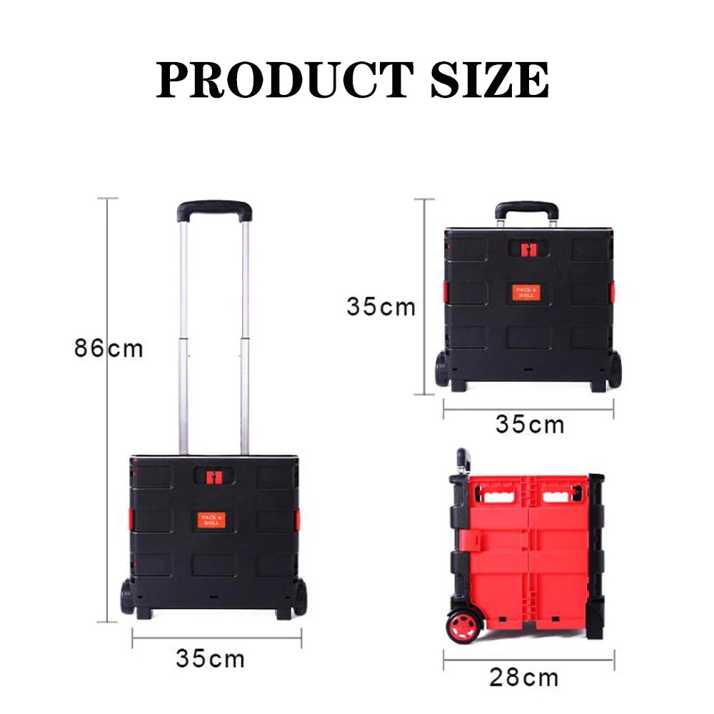 Trunk Organizer