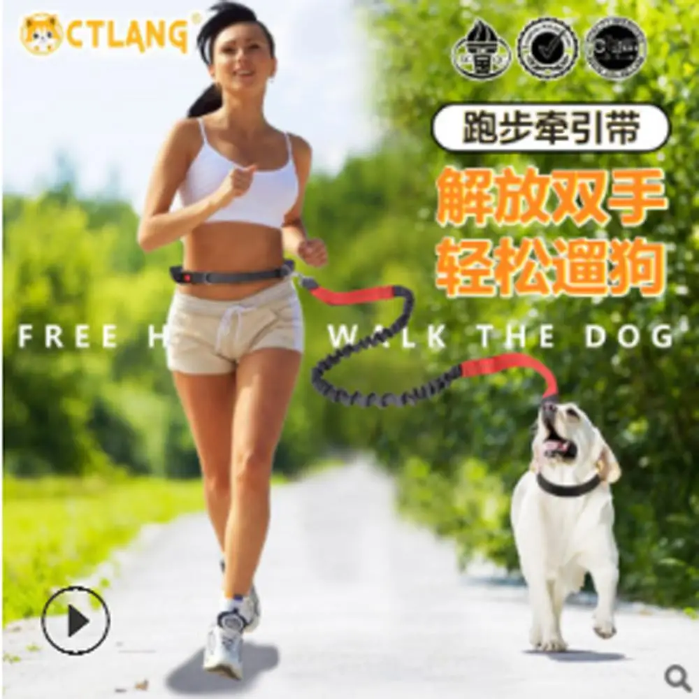 Dogs Leash Running Elasticity Hand Freely Pet Products Dogs Harness Collar Jogging Lead and Adjustable Waist Rope Glowing rope
Dogs Leash Running Elasticity Hand Freely Pet Products Dogs Harness Collar Jogging Lead and Adjustable Waist Rope Glowing rope