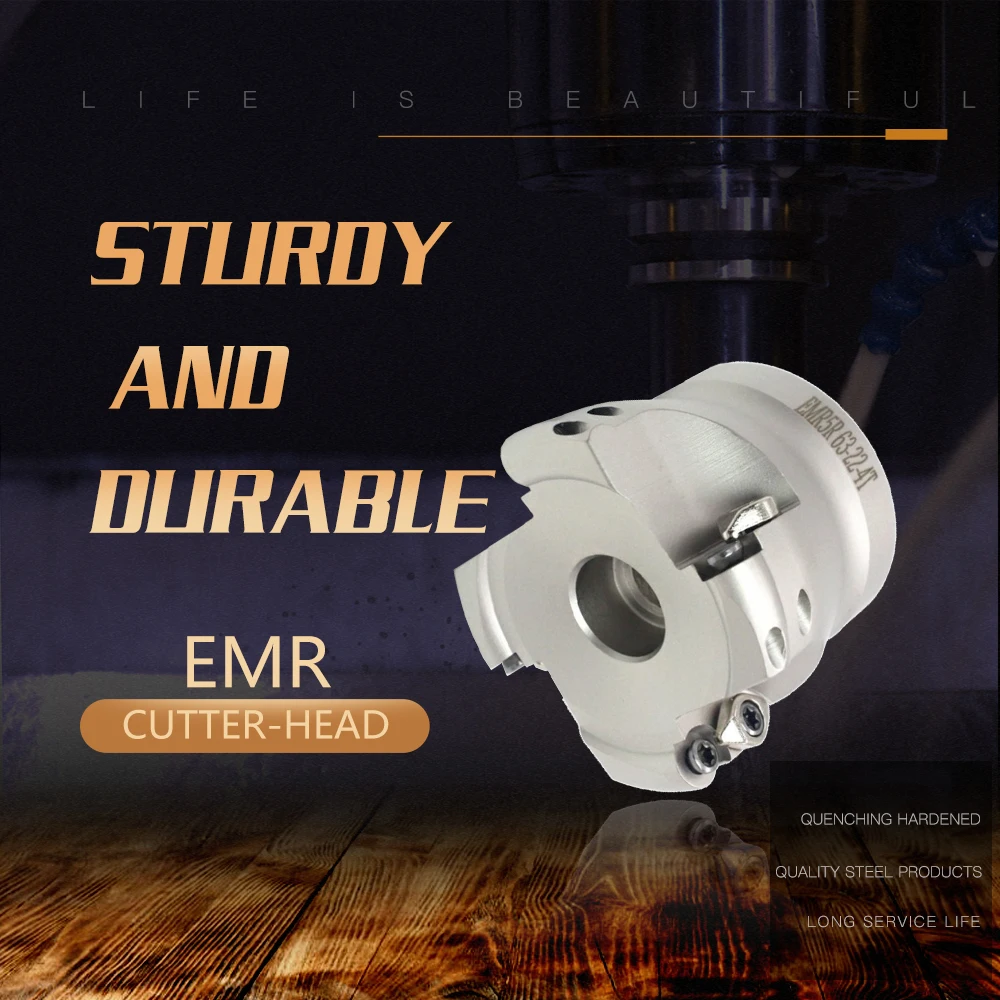 NT30 FBM22 FOR EMR //BAP //RAP 50//63-22-4F