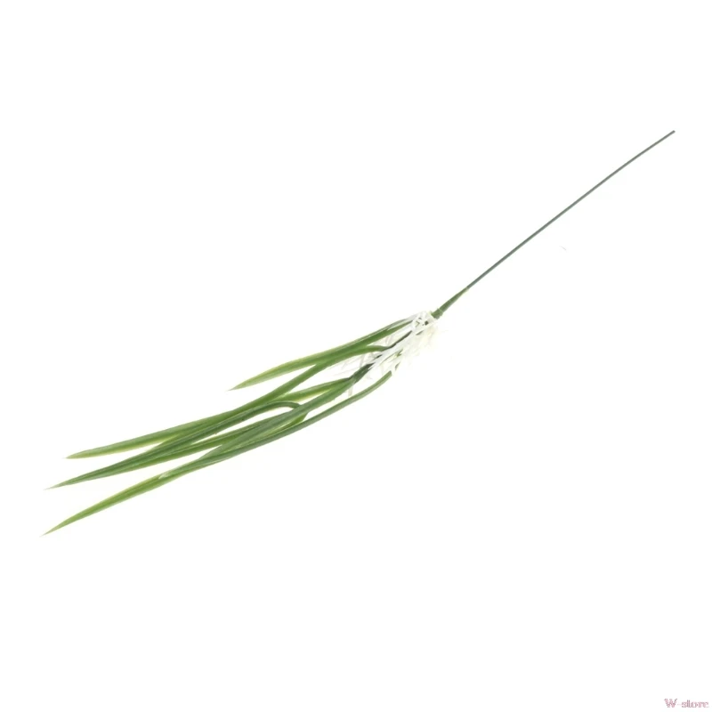 2018 1Bunch Artificial Plastic Plant Simulation Rice Seeding Grass Home Decoration W-store Sep26_A
2018 1Bunch Artificial Plastic Plant Simulation Rice Seeding Grass Home Decoration W-store Sep26_A