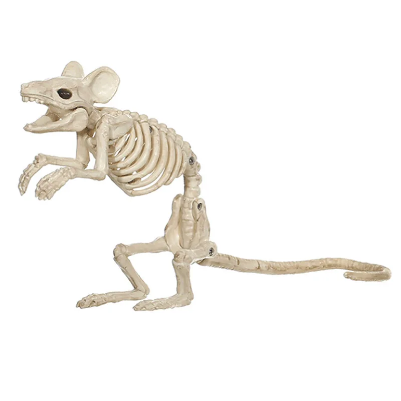 Cosplay&ware Animals Skeleton Halloween Decoration Mouse Dog Cat Skull Bone Ornaments Hallowmas Horror Haunted Party 24 Cosplay&ware Animals Skeleton Halloween Decoration Mouse Dog Cat Skull Bone Ornaments Hallowmas Horror Haunted Party -Cosplayware Store HTB1eZHAdjbguuRkHFrdq6z.LFXaa.jpg