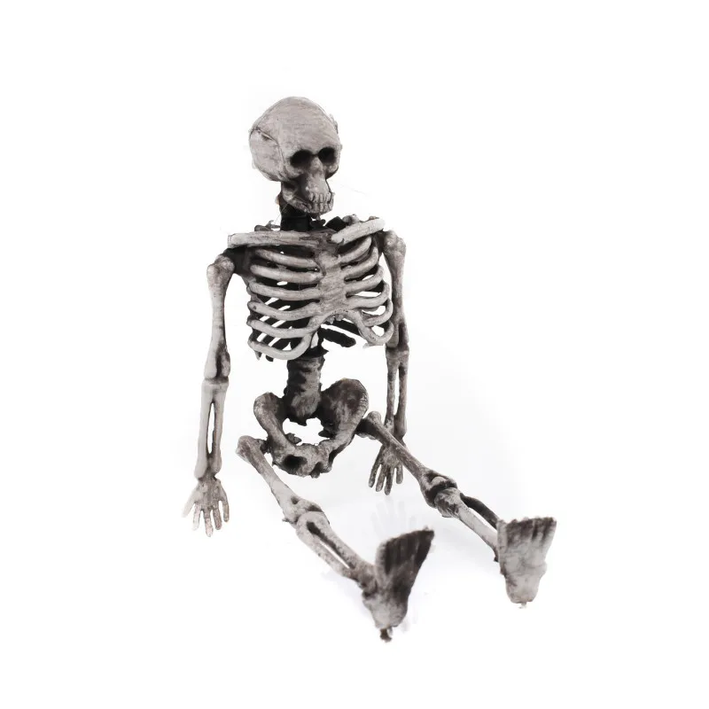 Home Decoration Accessories Skull Statues For Decoration Halloween Party Decoration Small Skeleton Creative Skull Decoration
Home Decoration Accessories Skull Statues For Decoration Halloween Party Decoration Small Skeleton Creative Skull Decoration