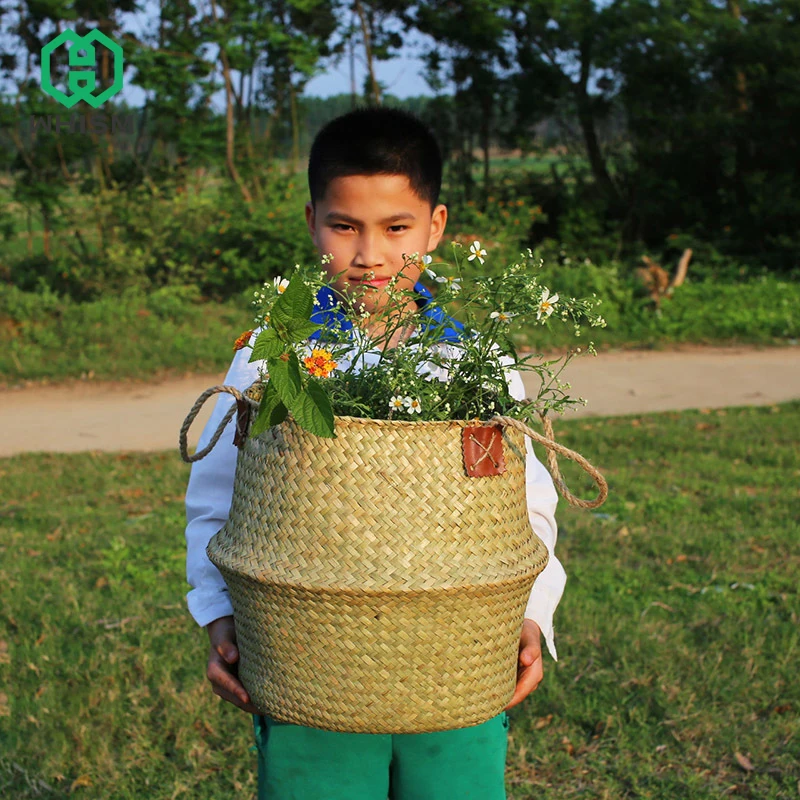 Handmade Wicker Rattan Basket Belly Plant Flower Handle Nursery Pots Planter Straw Organizer Vase Garden Home Decor
Handmade Wicker Rattan Basket Belly Plant Flower Handle Nursery Pots Planter Straw Organizer Vase Garden Home Decor