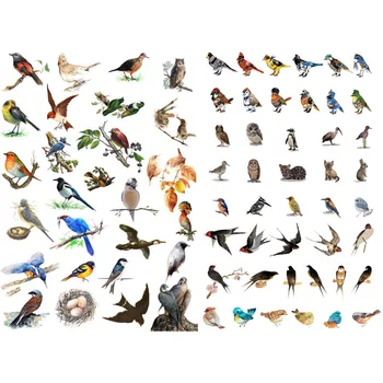 1 PCS Spring Little Birds Precut Sticker Kawaii Stationery Cute Sticky Notes Planner Stickers School Office Decor
1 PCS Spring Little Birds Precut Sticker Kawaii Stationery Cute Sticky Notes Planner Stickers School Office Decor