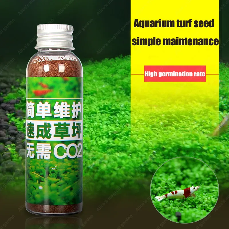 45g-1 bottle, Aquarium Plants Glossostigma Hemianthus Water Aquatic Fish Tank Ornamentals Landscape Decoration Plant
45g-1 bottle, Aquarium Plants Glossostigma Hemianthus Water Aquatic Fish Tank Ornamentals Landscape Decoration Plant