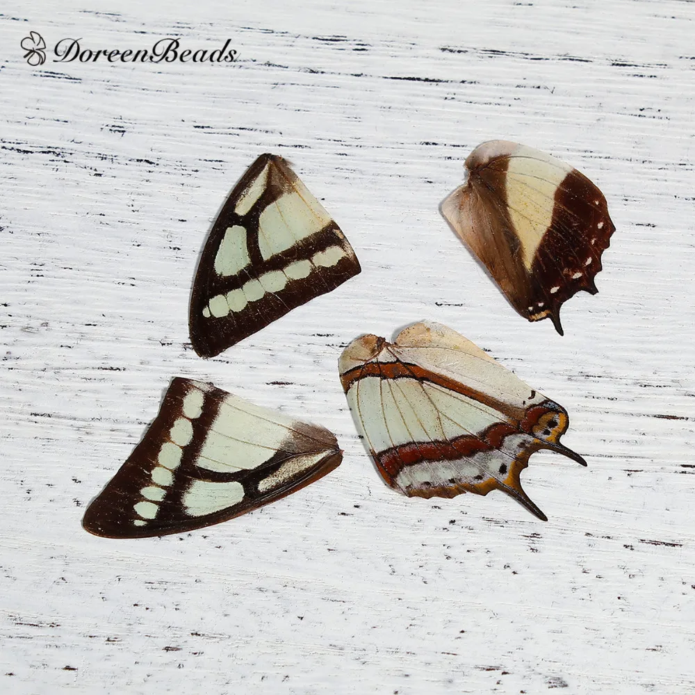 DoreenBeads Multicolor Real Butterfly Wing For DIY & Craft Materials 4.2cm x3.2cm - 2.9cm x2.6cm(1 1/8" x1"), 1 Piece
DoreenBeads Multicolor Real Butterfly Wing For DIY & Craft Materials 4.2cm x3.2cm - 2.9cm x2.6cm(1 1/8" x1"), 1 Piece