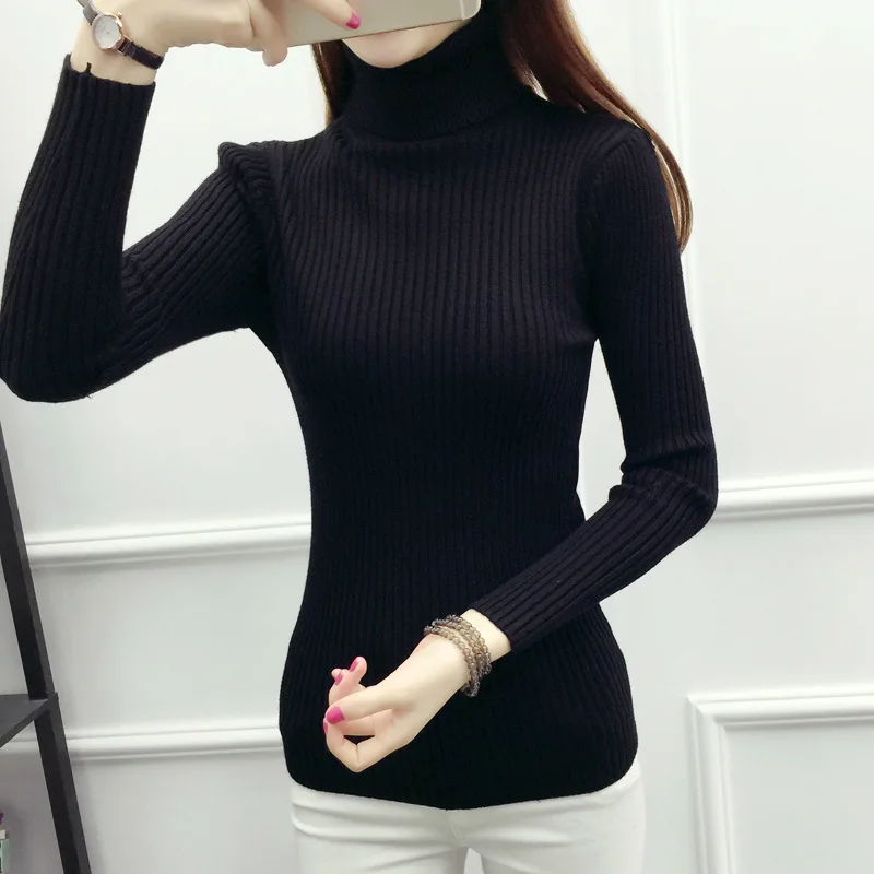 zq29