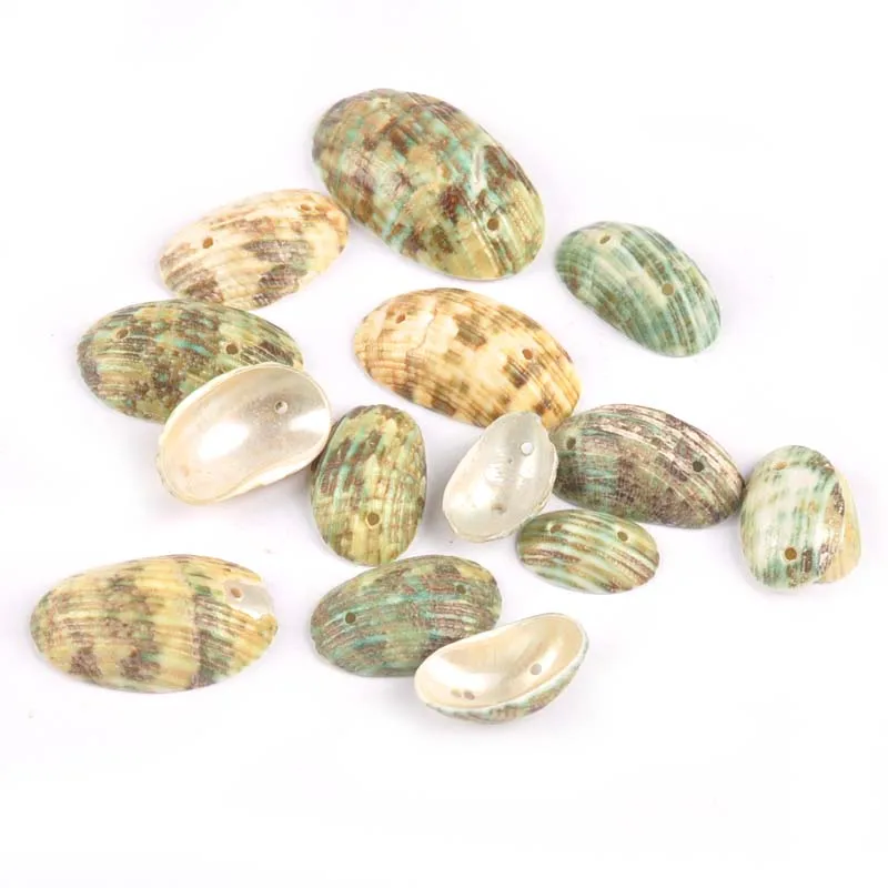 50pcs Green Natural Sicircle Sector Shells Crafts Scrapbook Handmade For DIY Home Decor Seashells Loose Beads 19-40mm TR0058
50pcs Green Natural Sicircle Sector Shells Crafts Scrapbook Handmade For DIY Home Decor Seashells Loose Beads 19-40mm TR0058