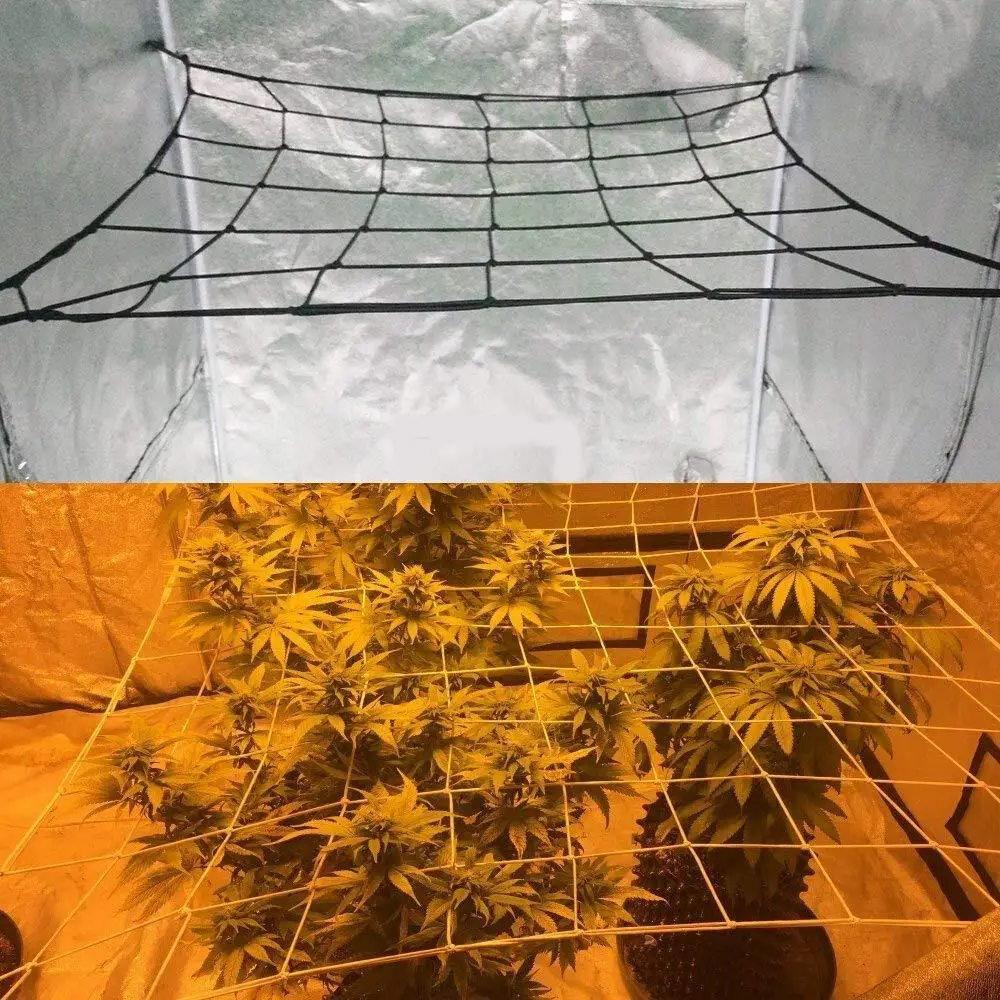 80*80cm Elastic Rubber Garden Trellis Net Garden Growing Tent Support Netting for Flower Vegetable Climbing Vine Plants
80*80cm Elastic Rubber Garden Trellis Net Garden Growing Tent Support Netting for Flower Vegetable Climbing Vine Plants