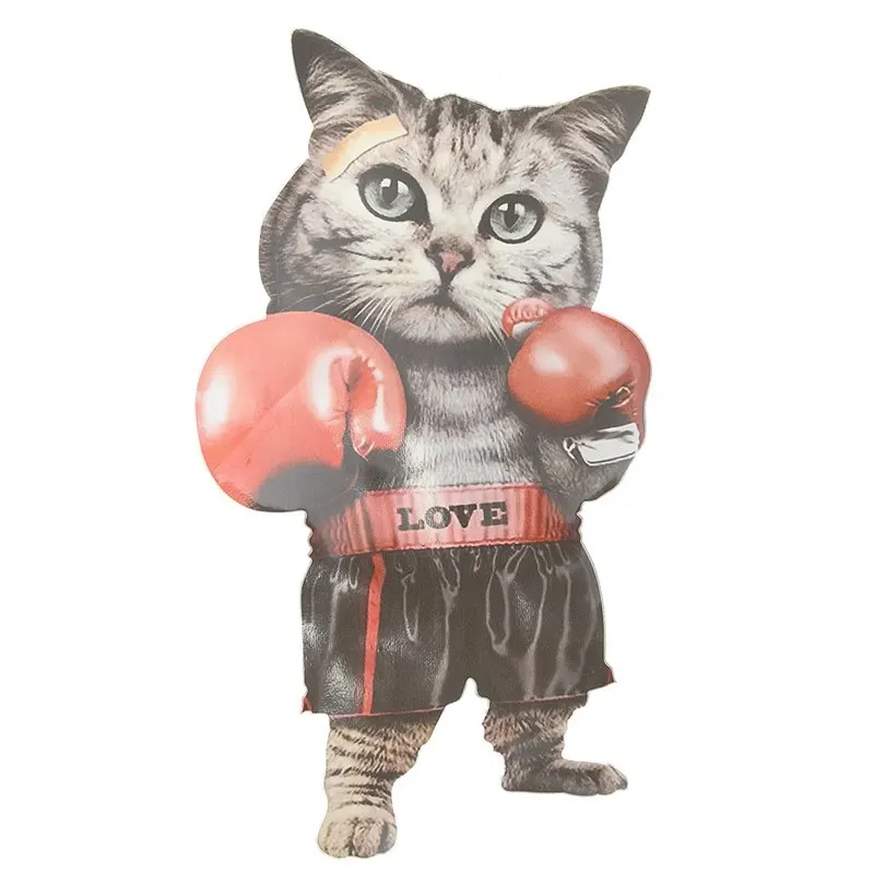11.8*21CM Lovely Cat Patch A-level Washable Stickers Easy Print By Household Irons Iron On Patches For Clothes
11.8*21CM Lovely Cat Patch A-level Washable Stickers Easy Print By Household Irons Iron On Patches For Clothes