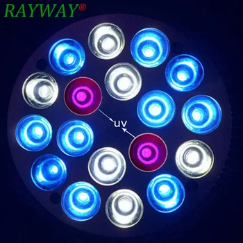 LED Aquarium Light E27 18W UV/ Blue/ Green/ White Chihiros Led Aluminum Aquarium LED Light For Fish Plant Coral Growing Lamp
LED Aquarium Light E27 18W UV/ Blue/ Green/ White Chihiros Led Aluminum Aquarium LED Light For Fish Plant Coral Growing Lamp