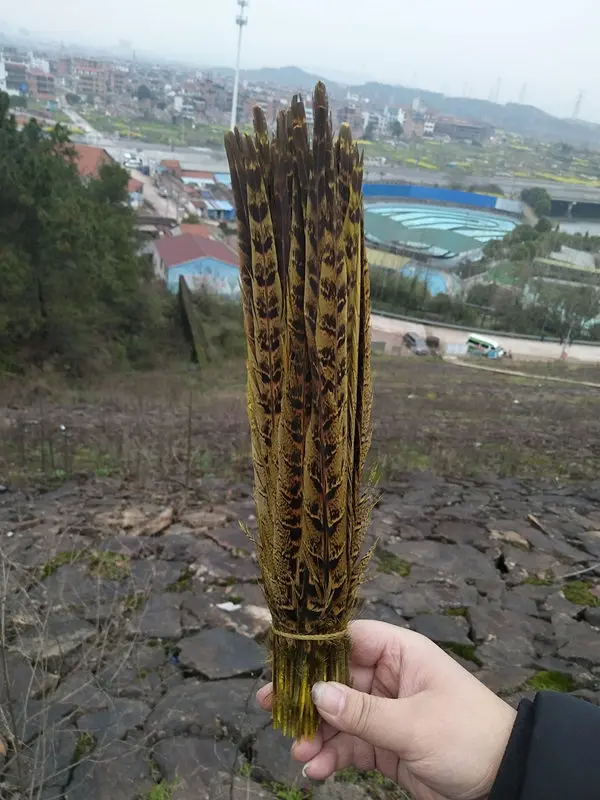 3102A7C0951E0936CC94B056EE4A839E -