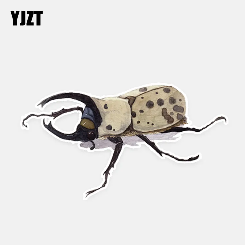 YJZT 13.7*7.6CM Predator Small Animals Flight Beetle Decor Car Stickers High Quality Personalized Colored 11A0623
YJZT 13.7*7.6CM Predator Small Animals Flight Beetle Decor Car Stickers High Quality Personalized Colored 11A0623