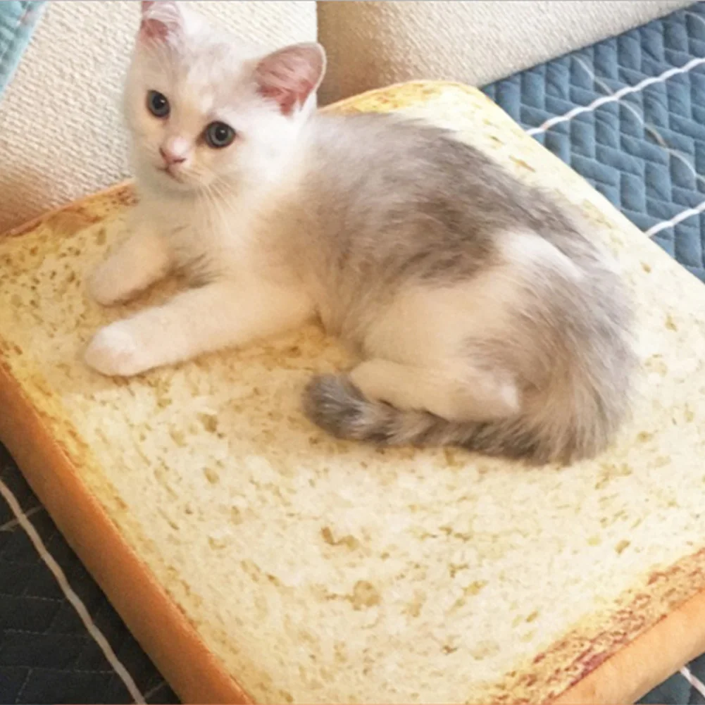 Pet Cushion Bed Winter Plush Nest Kennel Tart Warm Breathable Dog Cat Mat Pad LBShipping
Pet Cushion Bed Winter Plush Nest Kennel Tart Warm Breathable Dog Cat Mat Pad LBShipping