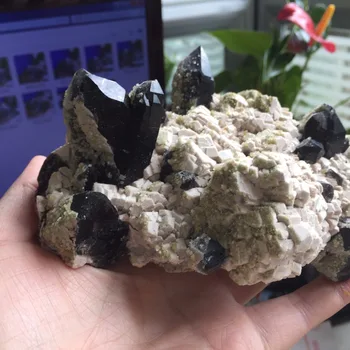AB19(604g) Natural Stone and Minerals Black Quartz Healing Point Cluster Specimen Rough Quartz Cristals feng shui mine
AB19(604g) Natural Stone and Minerals Black Quartz Healing Point Cluster Specimen Rough Quartz Cristals feng shui mine