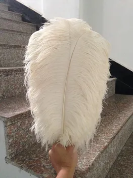 50-55cm/20-22 inch Ostrich Feather Light champange Ostrich Plumage Wedding centerpiece party decoration hotel vase DIY 20pcs/lot
50-55cm/20-22 inch Ostrich Feather Light champange Ostrich Plumage Wedding centerpiece party decoration hotel vase DIY 20pcs/lot