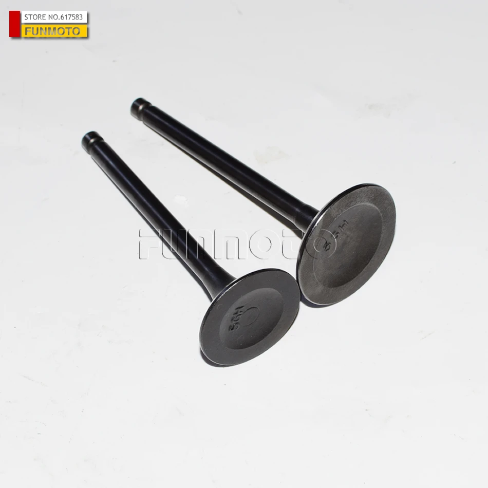 VALVE INTAKE EXHAUST VALVE AND CYLINDER HEAD GASKET OF HISUN 500CC ATV 14711-F11-0000 and 14721-F11-0000 And 12250-F18-0000
VALVE INTAKE EXHAUST VALVE AND CYLINDER HEAD GASKET OF HISUN 500CC ATV 14711-F11-0000 and 14721-F11-0000 And 12250-F18-0000
