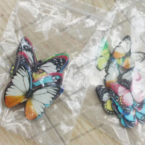 edible butterfly 9_