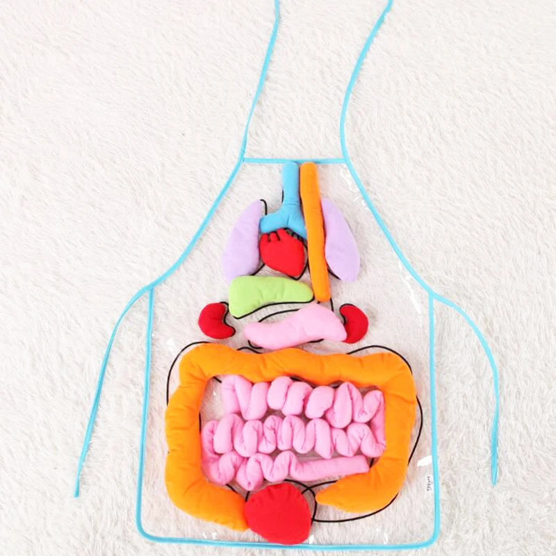 Educational Insights Toys For Children Anatomy Apron Human Body Organs Awareness Preschool Science Home School Teaching Aids
Educational Insights Toys For Children Anatomy Apron Human Body Organs Awareness Preschool Science Home School Teaching Aids