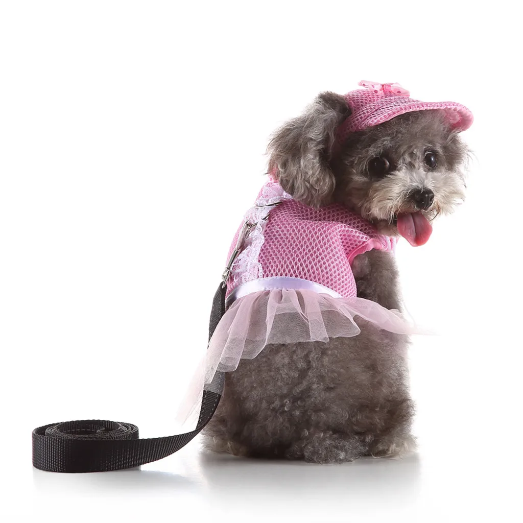 shop owner recommended Household daily necessities Pet Dog Chest Strap Stripe Tie Neck Chest Belt Comfort Vest Cat Chest Strap
shop owner recommended Household daily necessities Pet Dog Chest Strap Stripe Tie Neck Chest Belt Comfort Vest Cat Chest Strap