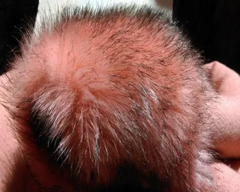 High-grade Pink dye tip faux fox fur,pile 3.5cm felt cloth,Imitation fur clothing fabric background cloth,170cm*50cm/pcs
High-grade Pink dye tip faux fox fur,pile 3.5cm felt cloth,Imitation fur clothing fabric background cloth,170cm*50cm/pcs