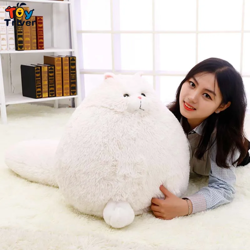 2016 hot cute stuffed simulation long tailpersian cat toys plush doll birthday gift present for baby kids children girlfriend
2016 hot cute stuffed simulation long tailpersian cat toys plush doll birthday gift present for baby kids children girlfriend