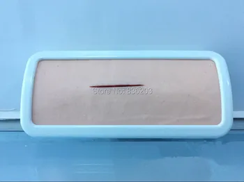 Wearable human skeleton anatomical skin suture stitching model anatomy Simulation Skin Wound Suture Practice Pad
Wearable human skeleton anatomical skin suture stitching model anatomy Simulation Skin Wound Suture Practice Pad
