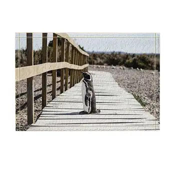 Nature Scenery Decor Penguin Stand on Path Beside Farm Against Prairie Bath Rugs Non-Slip Doormat Floor EntrywaysDoor Mat
Nature Scenery Decor Penguin Stand on Path Beside Farm Against Prairie Bath Rugs Non-Slip Doormat Floor EntrywaysDoor Mat