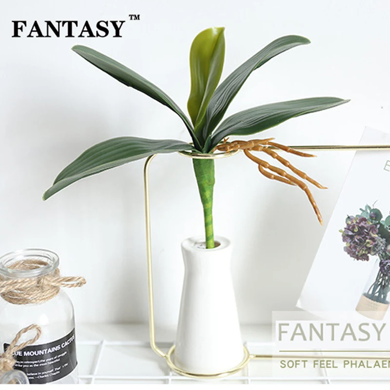 FANTASY Artificial Plant Leaves Fake Phalaenopsis Orchid Leafs Plant Wall Landscape Decoration Small Bonsai DIY Home Furnishings
FANTASY Artificial Plant Leaves Fake Phalaenopsis Orchid Leafs Plant Wall Landscape Decoration Small Bonsai DIY Home Furnishings