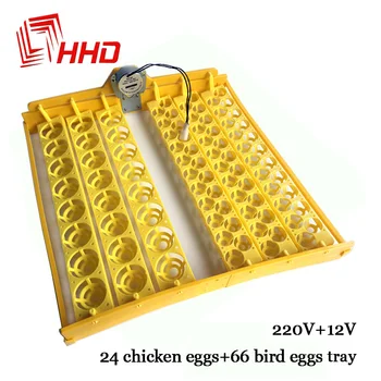 Hatchery Machine Accessory 12V 220V 24 Chicken and 66 Bird Quail Parrot Plastic Eggs Tray with Turning Motor for HHD Incubator
Hatchery Machine Accessory 12V 220V 24 Chicken and 66 Bird Quail Parrot Plastic Eggs Tray with Turning Motor for HHD Incubator