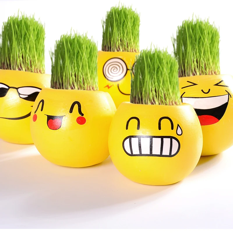 Prevent Radiation Office Mini Grass Potted Fun DIY Planted Grasshead Doll Landscape Plant with Ceramic flowe Pot + Soil
Prevent Radiation Office Mini Grass Potted Fun DIY Planted Grasshead Doll Landscape Plant with Ceramic flowe Pot + Soil