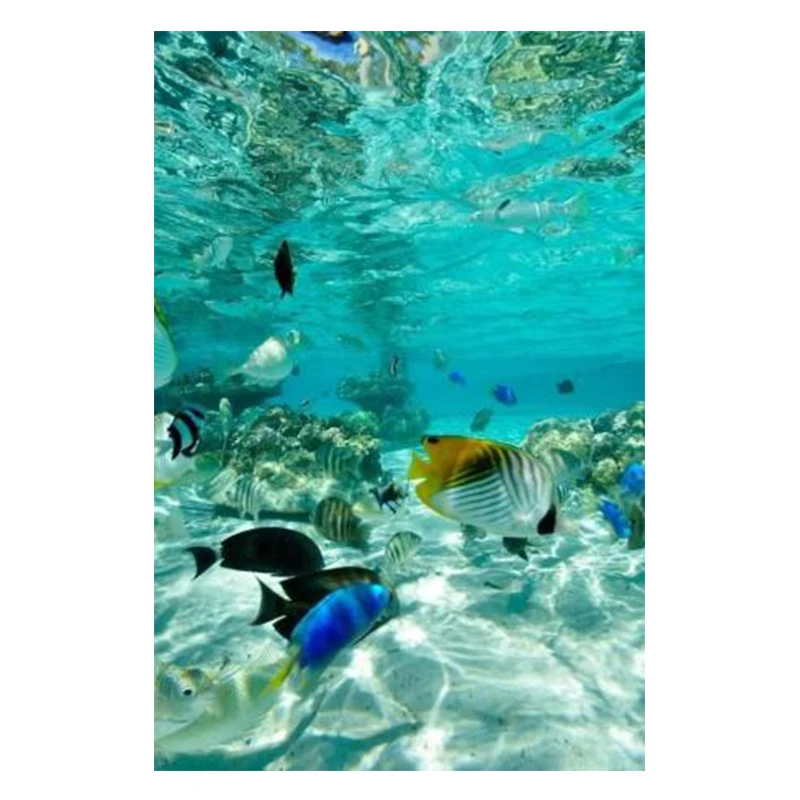 Full Square 5D DIY Diamond Painting swimming Crystal Embroidery Cross Stitch Needlework Mosaic Painting Decor Gift 0424
Full Square 5D DIY Diamond Painting swimming Crystal Embroidery Cross Stitch Needlework Mosaic Painting Decor Gift 0424