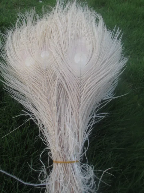 Wholesale! Beautiful white peacock eye feathers 10 pcs 25-30 cm / 10-12 inches decoration celebration
Wholesale! Beautiful white peacock eye feathers 10 pcs 25-30 cm / 10-12 inches decoration celebration