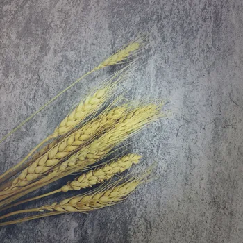 Roadfisher Vintage Light Cement Look Like Photography Background Backdrop Paper Board INS Taking Photo Picture Prop Tool 45X45CM
Roadfisher Vintage Light Cement Look Like Photography Background Backdrop Paper Board INS Taking Photo Picture Prop Tool 45X45CM