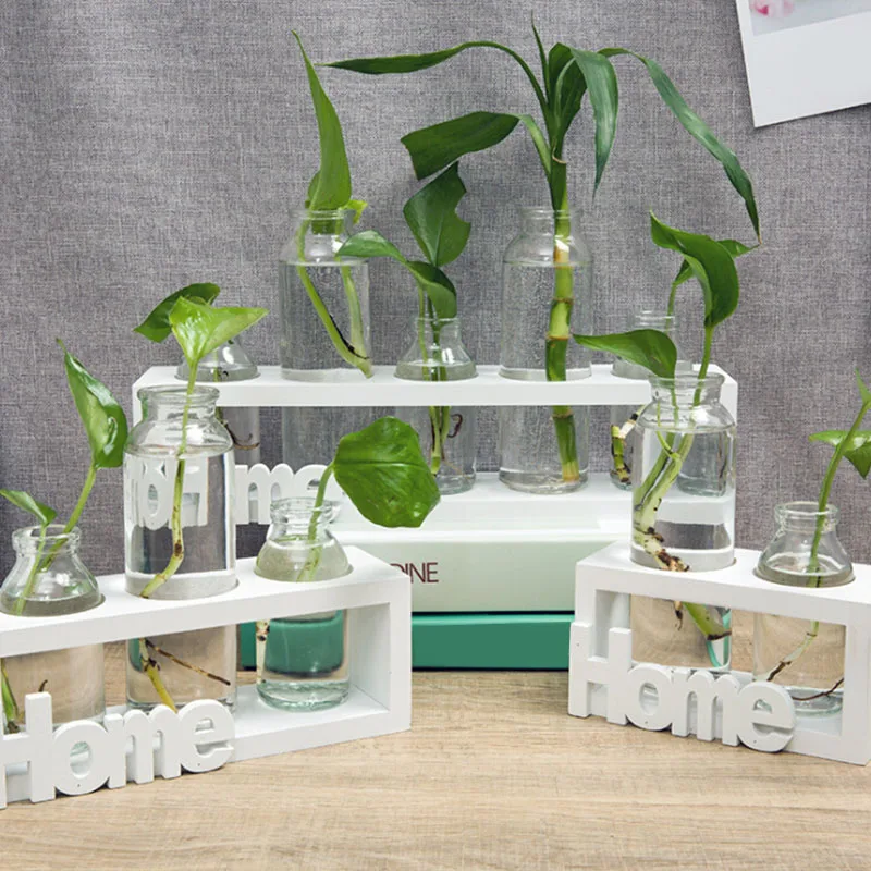 Glass and Wood Vase Planter Terrarium Table Desktop Hydroponics Plant Bonsai Flower Pot Hanging Pots with Wooden Tray Home Decor
Glass and Wood Vase Planter Terrarium Table Desktop Hydroponics Plant Bonsai Flower Pot Hanging Pots with Wooden Tray Home Decor