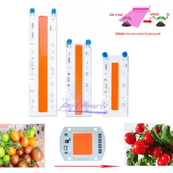 free shipping 1pcs Hydroponice AC 220V /110v 20W 30W 50w 70W led grow chip full spectrum 400nm-840nm for indoor led grow light
free shipping 1pcs Hydroponice AC 220V /110v 20W 30W 50w 70W led grow chip full spectrum 400nm-840nm for indoor led grow light