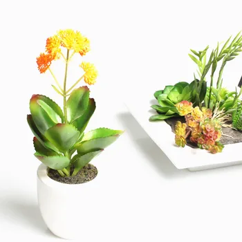 INDIGO- 120pcs Crassula Falcate Artificial Succulent Plant Plastic Flower Decoration Green Plant Background Free Shipping
INDIGO- 120pcs Crassula Falcate Artificial Succulent Plant Plastic Flower Decoration Green Plant Background Free Shipping