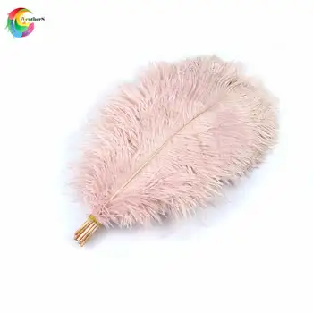 NEW! 50pcs/lot natural baby pink ostrich feathers Tail craft 35-40 cm/14-16 inch Plume for Wedding Centerpieces Home Decoration
NEW! 50pcs/lot natural baby pink ostrich feathers Tail craft 35-40 cm/14-16 inch Plume for Wedding Centerpieces Home Decoration