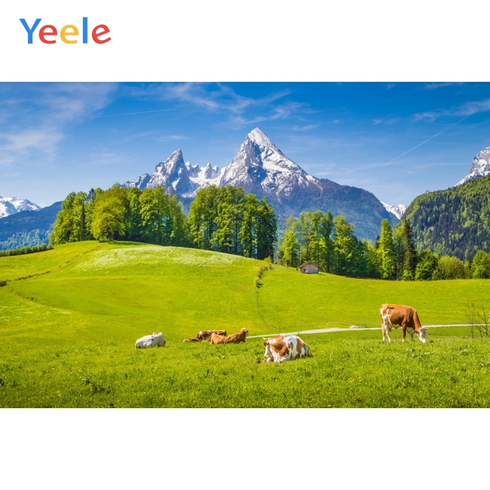 Yeele landscape Mountain Vitality Animal Leisurely Photography Backdrops Personalized Photographic Backgrounds For Photo Studio
Yeele landscape Mountain Vitality Animal Leisurely Photography Backdrops Personalized Photographic Backgrounds For Photo Studio