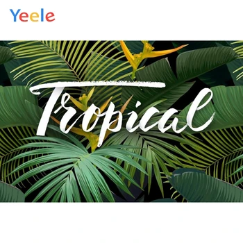 Yeele Tropical Green Palm Tree Leaves Party Portrait Photography Backgrounds Customized Photographic Backdrops For Photo Studio
Yeele Tropical Green Palm Tree Leaves Party Portrait Photography Backgrounds Customized Photographic Backdrops For Photo Studio