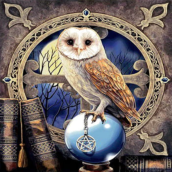 5D Diy Diamond Painting Cross Stitch Owl Standing On The Ball 3D Diamond Embroidery Full Round Mosaic Decoration Resin Stickers
5D Diy Diamond Painting Cross Stitch Owl Standing On The Ball 3D Diamond Embroidery Full Round Mosaic Decoration Resin Stickers